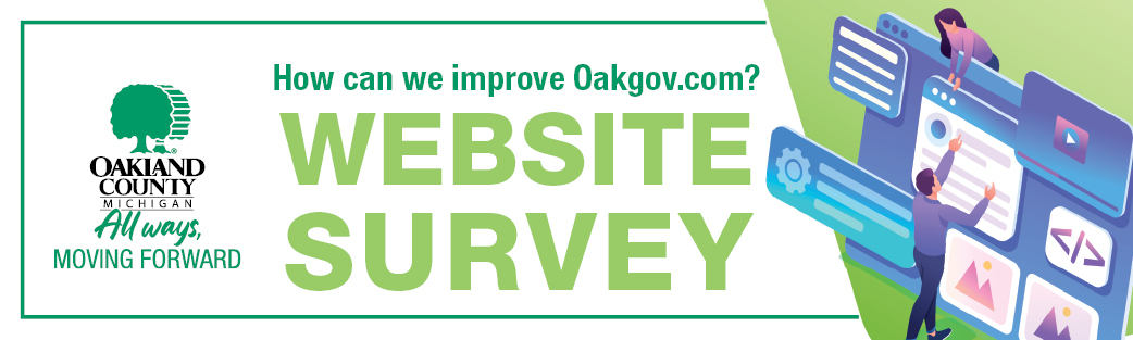 web survey