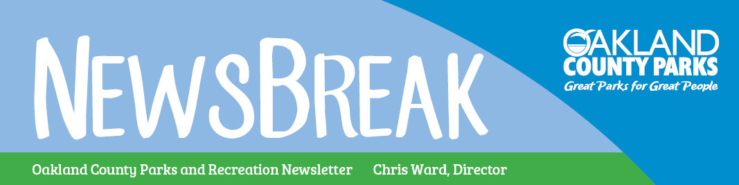 newsbreak banner