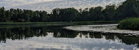 hawthorne park