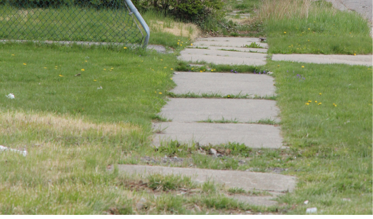 Photo of an uneven, overgrown sidewalk.