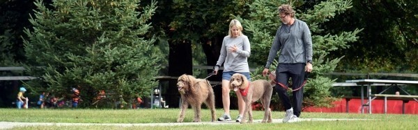 couple walking a dog