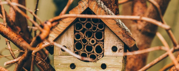 bee hotel