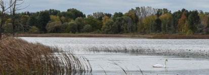 water wonderland photo
