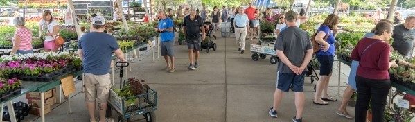 guests shopping at the market