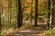 addison oaks trail in fall