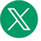 X Icon