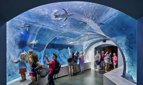 Penguin aquarium at the Detroit Zoo