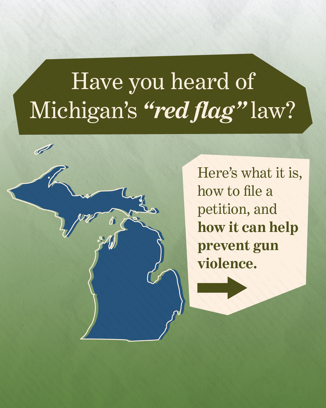 Gun Laws