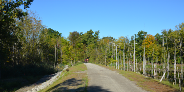 Friends of the Clinton River Trail’s Fall Classic