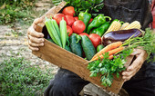farmer holding box of veggies