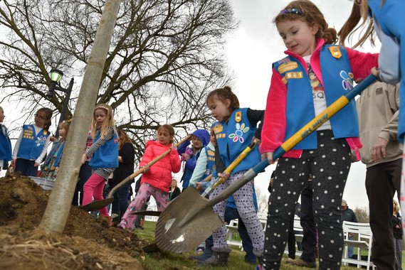 Arbor Day scouts digging hole for  tree