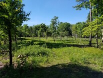 Innovation Hills Green Space