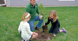 Kids planting a tree
