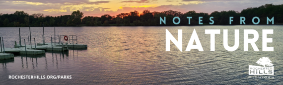 notes from nature banner