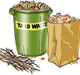Yard Waste