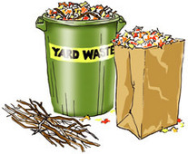 Yard Waste