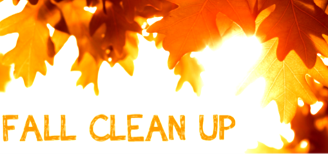 fall cleanup