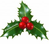 Hidden Holly
