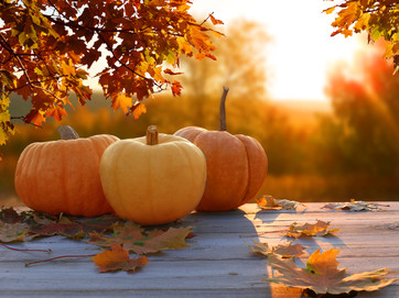 Pumpkins in a fall scene