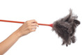 Right hand holding feather duster.