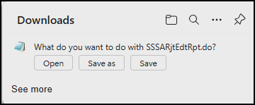 What to do SSARjtEdtRpt
