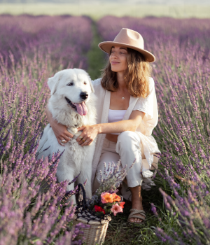 Lavender field Woman and dog