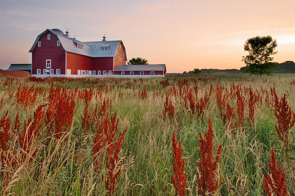 Eastmanville Farm by Ed Post