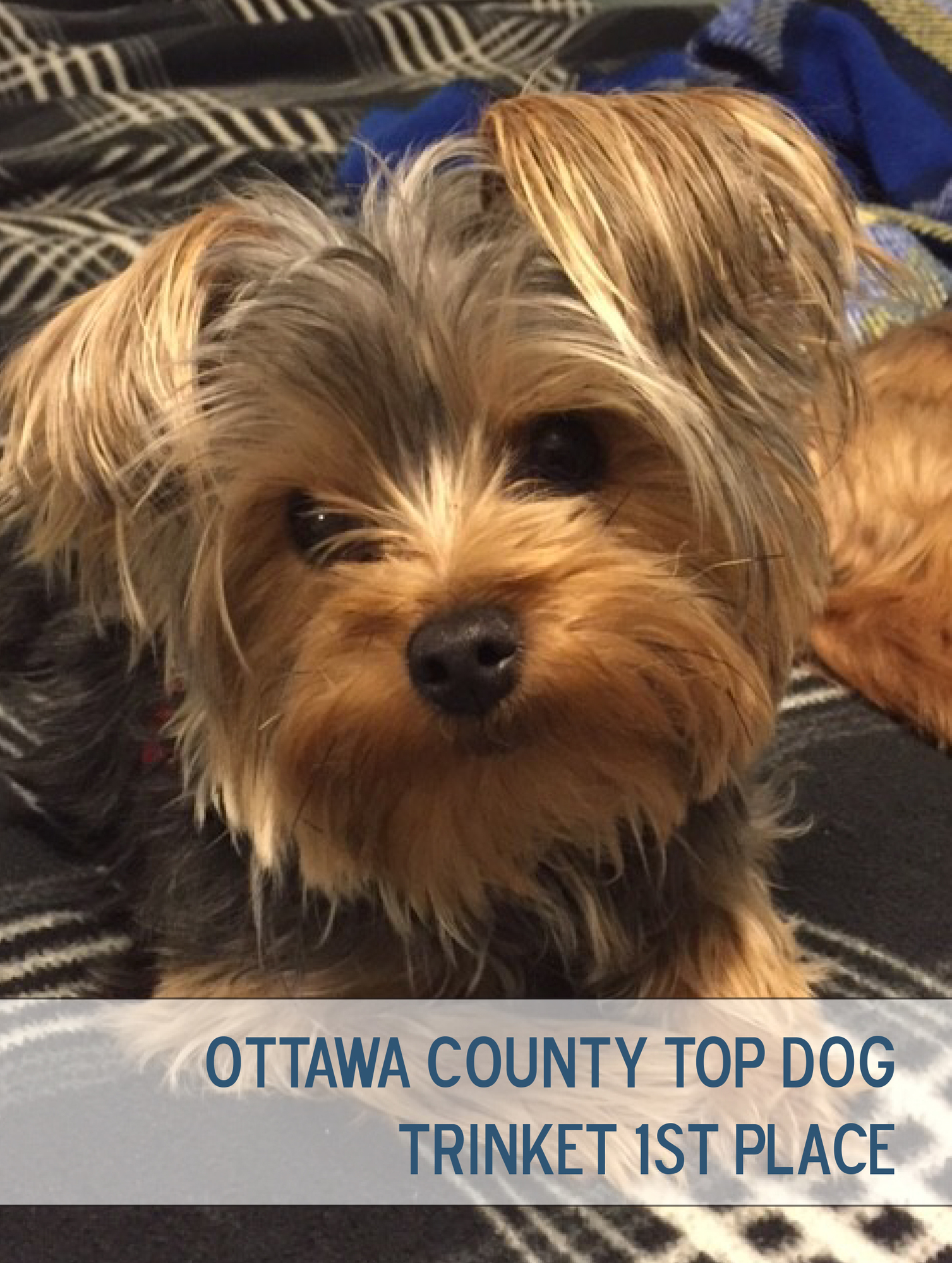 Ottawa County top dog chosen!