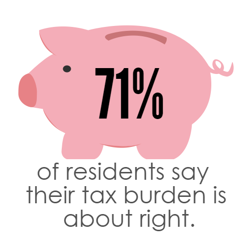 Survey Tax Burden