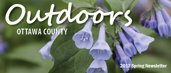 spring newsletter header