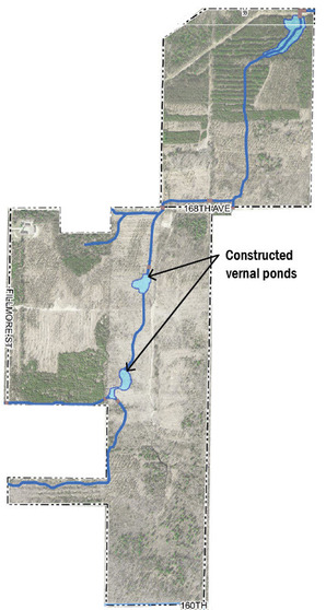 hiawatha forest drain