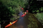 Kayakers on Pigeon River