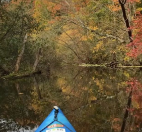 Kayaker on Pigeon River