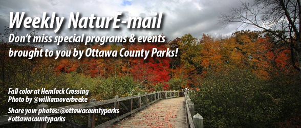 Fall Colors at Hemlock