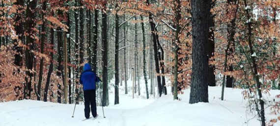 Skiing at Pigeon Creek Park