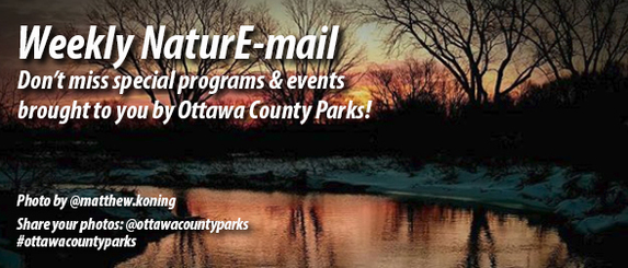 sunset and river scene