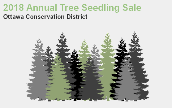 2018 Tree Seedling Sale