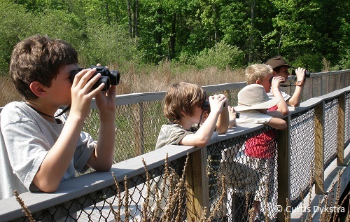 Young Birders