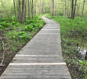 Pigeon Creek Pathway