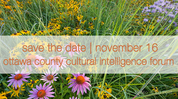 Cultural Intelligence Forum 2018