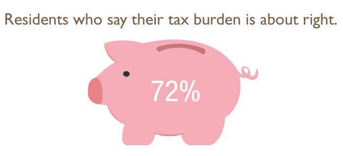 Tax burden 2018