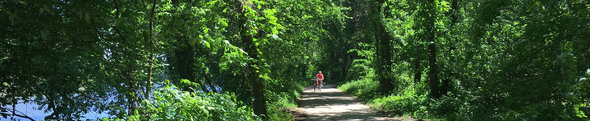 cyclists on path