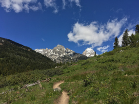 Grand Tetons