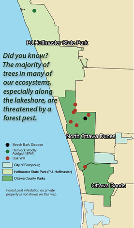 forest pest map