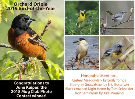 2018 Mug Club Photo Contest Winners