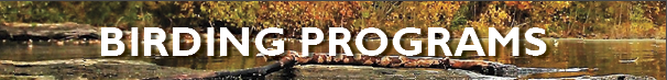 birding prgrams