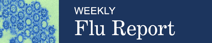 flu report header