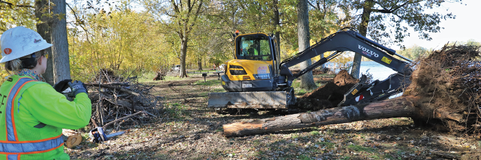 shoreline restoration 1