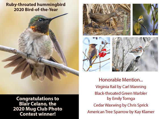 coffee with the birds mug club