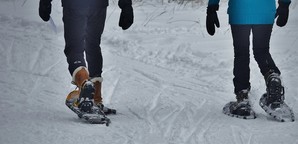 Snowshoers